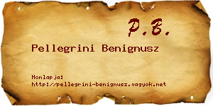 Pellegrini Benignusz névjegykártya